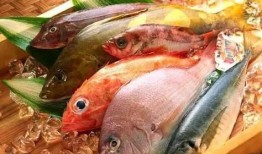 石家庄吃鱼爆料事件视频,吃鱼爆料视频引发公众热议